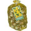 42897 narcis yellow