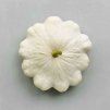 798 patizon custard white bio