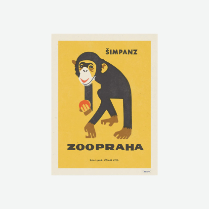 Czechoslovakian Ink retro plakát ZOO Praha šimpanz