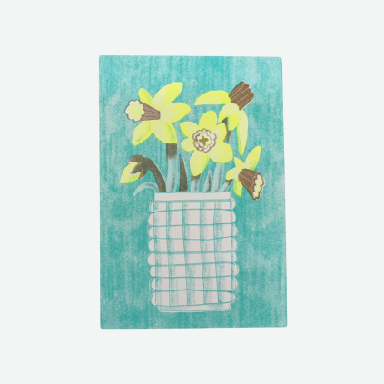 Elajediova narcisy P