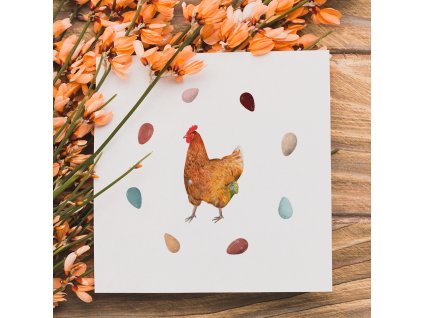 slepice phled 1000x1000