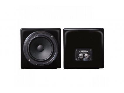 Avantone Pro MixCubes Black (pair)