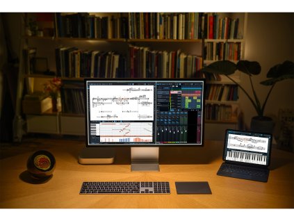 STEI262 Dorico Elements 6 01