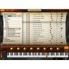 IK Multimedia Miroslav Philharmonik 2