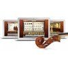 IK Multimedia Miroslav Philharmonik 2