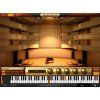 IK Multimedia Miroslav Philharmonik 2