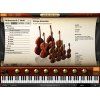 IK Multimedia Miroslav Philharmonik 2