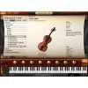 IK Multimedia Miroslav Philharmonik 2