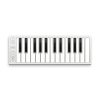 CEGO060 Xkey 25 02