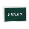 Steinberg WaveLab Pro 12 (el. licence)
