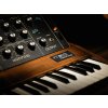 SUAD652 Moog Minimoog 03