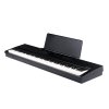 ARTE030 Vivace (Black) 01