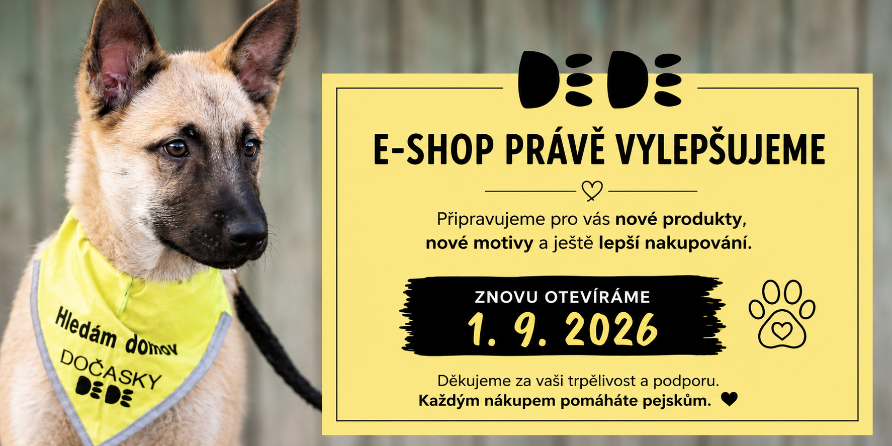 Hlavní