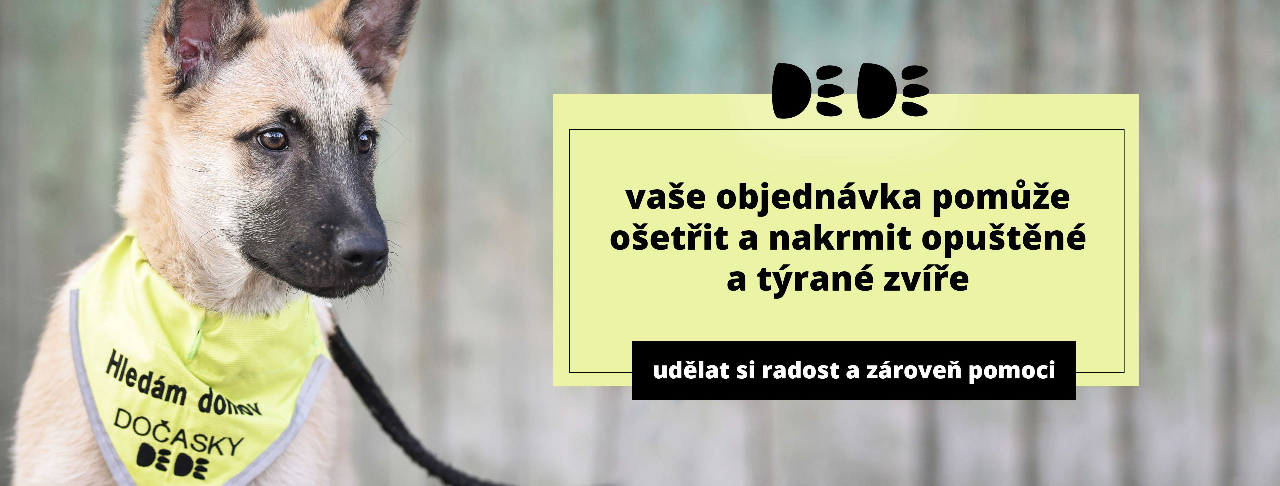 Hlavní