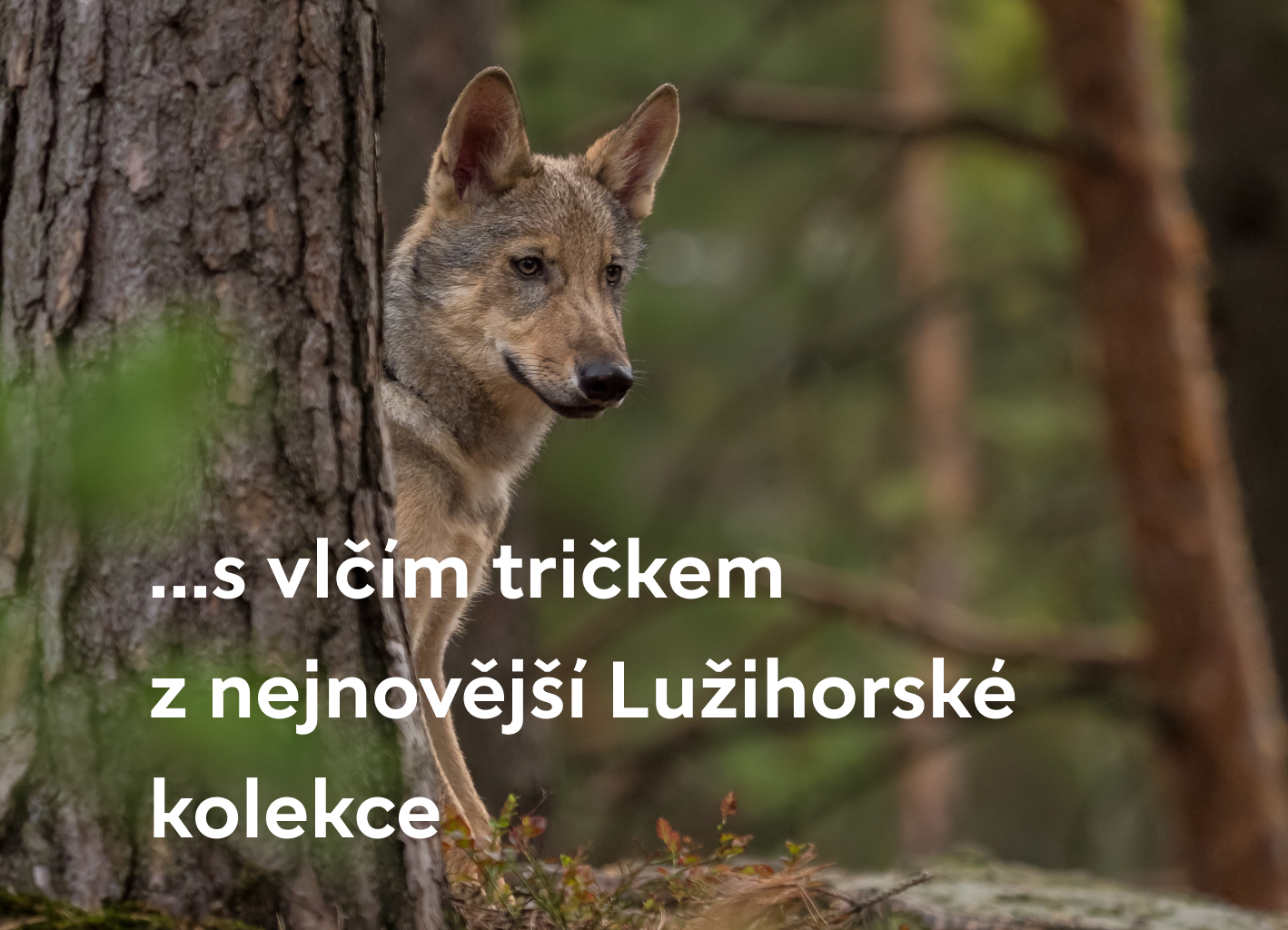vlak eurasijský s popiskem2