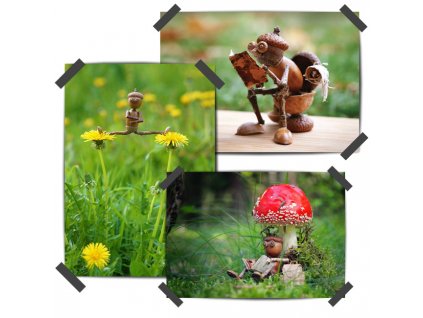 Acorn elves posters