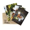 Acorn elf paper cards