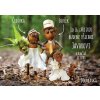 Wedding announcements with Acorn elves
