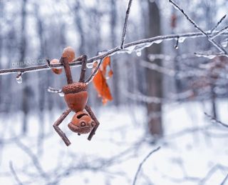 Dneska opatrně! Děsně to klouže! Careful out there today! It’s super slippery!