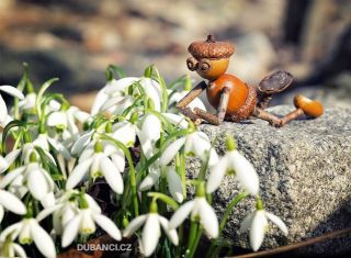 Nemůžu se dočkat! I can’t wait!