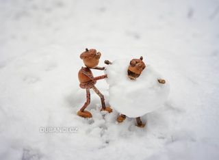 Ej, vypadá to, že i dubánci občas podvádí! Viz předchozí příspěvek o zimních dubánčích hrách. Well, looks like even the...