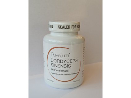 Cordyceps