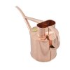 160 2 Pot waterer 4WEB