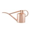 160 2 Pot waterer WEB
