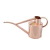 160 2 Pot waterer 2WEB