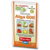 alga