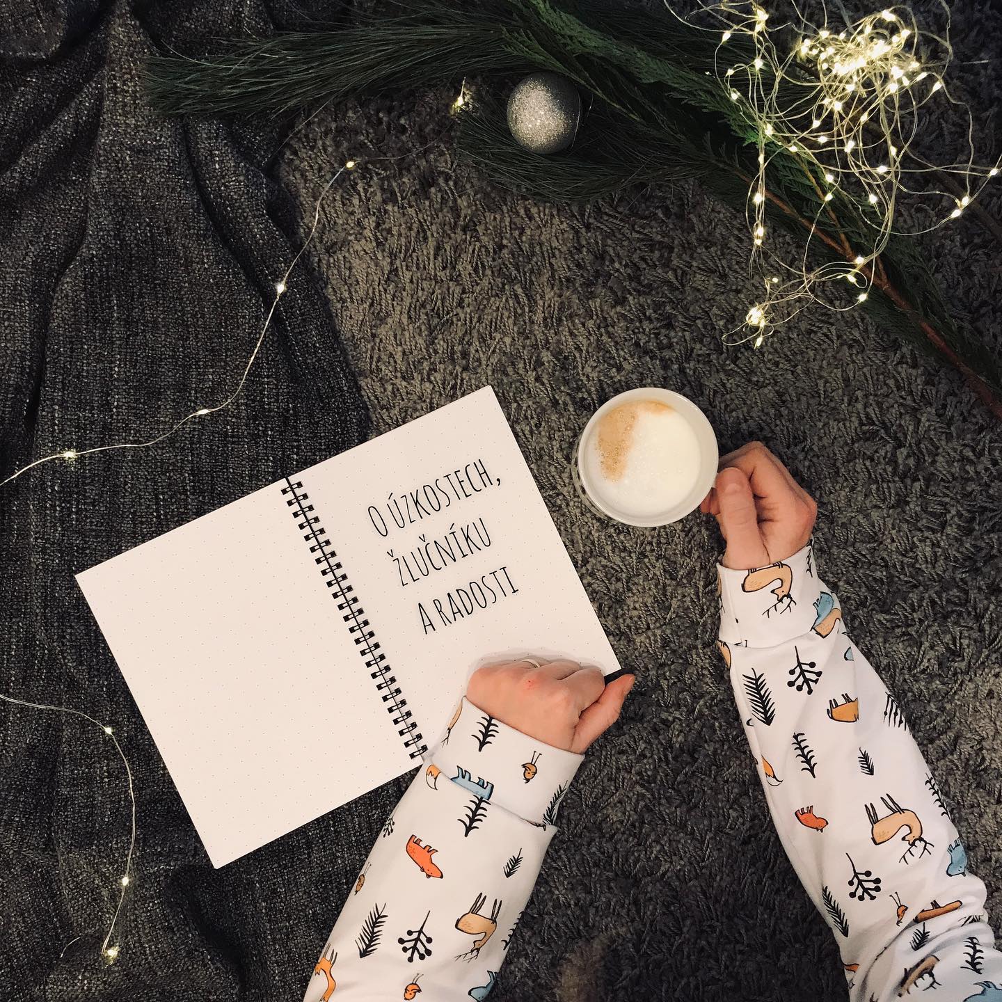 O úzkostech, žlučníku a radosti