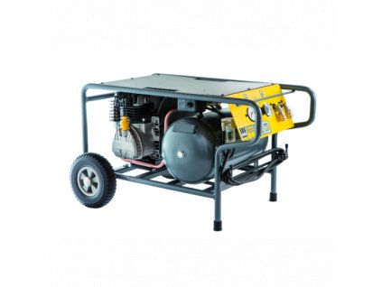 Schneider CPM L 310-10-20 WX