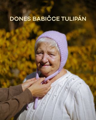 MDŽ za rohem 🌸 Nezapomeňme na naše babičky, přinesme jim tulipán a třeba jedny ponožky, hm? 😌 #ponozkyodbabicky