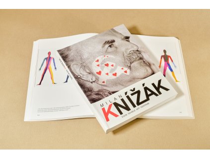 Katalog KnizakMilan DSF1546