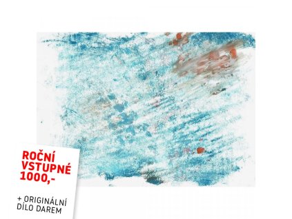 Roční vstupenka Judith Zillich IX