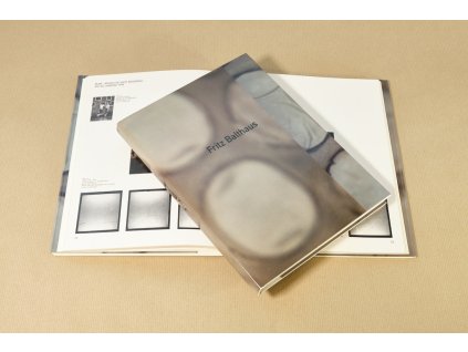 BalthausFritz DSF2236