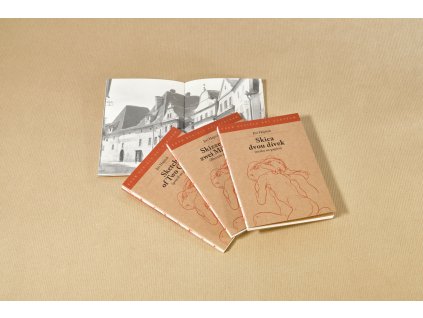 HajicekJiri SkicaDvouDivek DSF1641