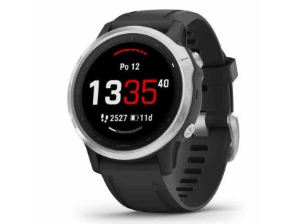 Garmin fenix6S Glass Silver/Black Band