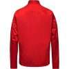 GORE SWIFTRIDE GORE-TEX Jacket Mens lab red (Velikost M)