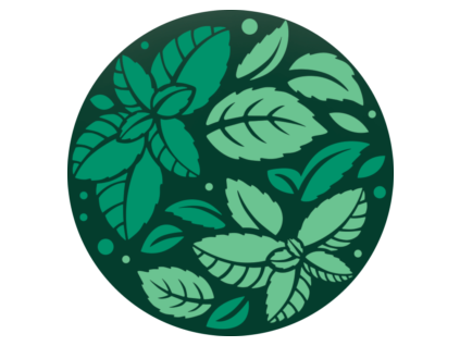Pure Tea Selection - Mäta BIO