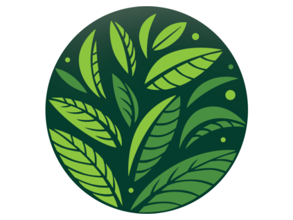 Pure Tea Selection - Sencha BIO