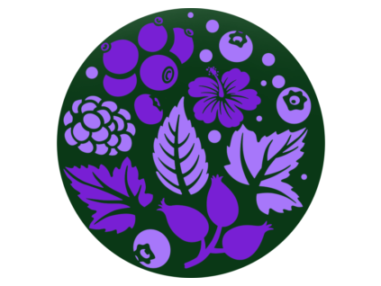 Pure Tea Selection - Lesné ovocie