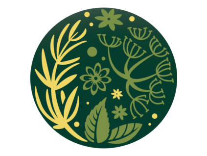 Pure Tea Selection - Fenikel-Aníz BIO