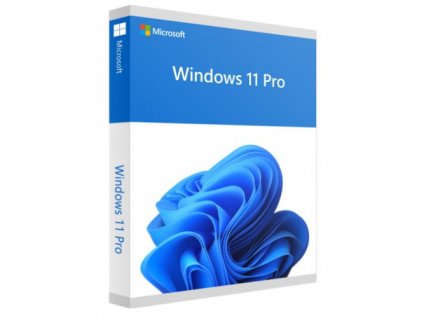 windows 11 pro