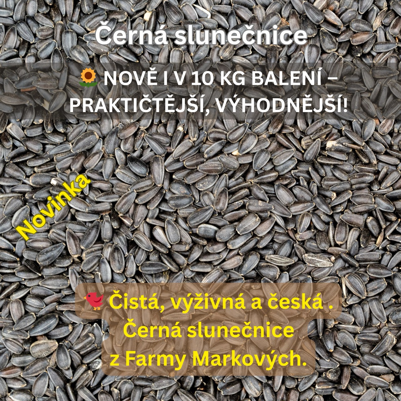 Nové balení černé slunečnice – 10 kg