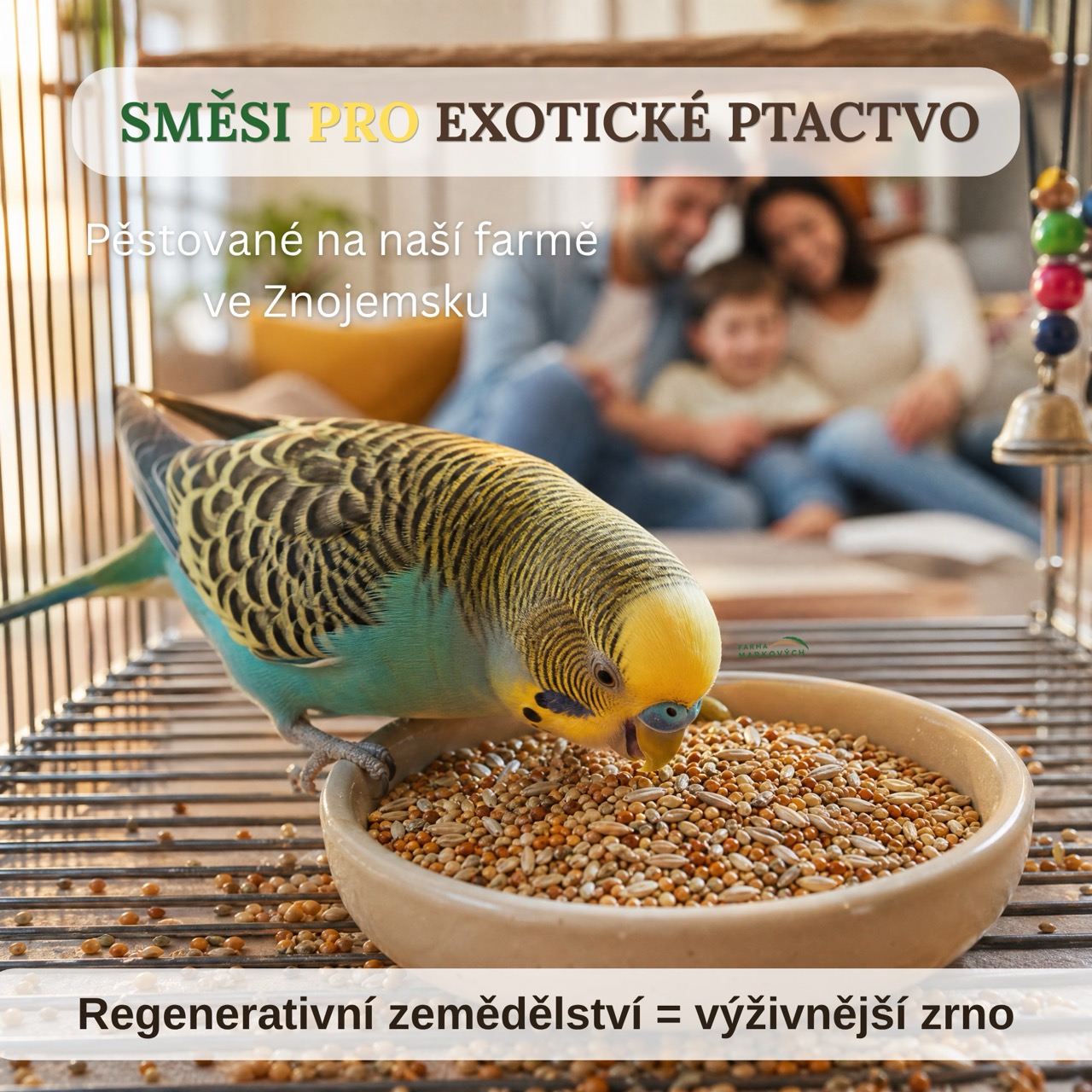 smesexotika mob