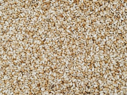 Světlice barvířská - Kardi