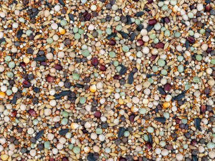 Mastr – Junior 25kg