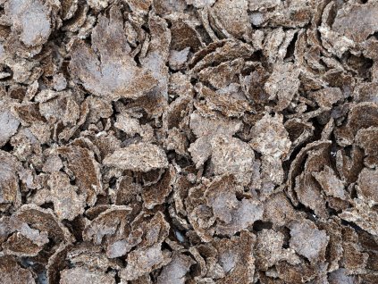 Ostropestřecové výlisky – Detoxikace a regenerace jater