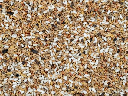 Mastr - dietní 25kg